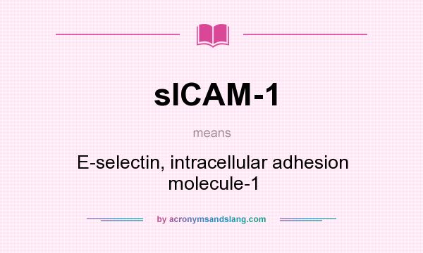 What does sICAM-1 mean? It stands for E-selectin, intracellular adhesion molecule-1