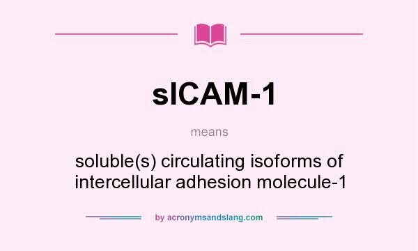 What does sICAM-1 mean? It stands for soluble(s) circulating isoforms of intercellular adhesion molecule-1