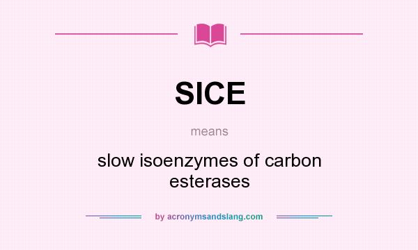 What does SICE mean? It stands for slow isoenzymes of carbon esterases