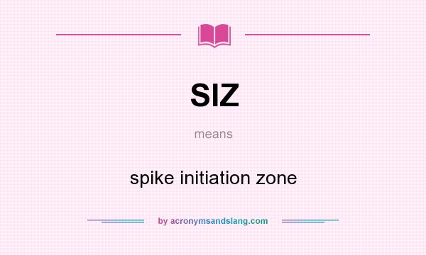 What does SIZ mean? It stands for spike initiation zone