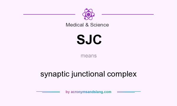 What does SJC mean? It stands for synaptic junctional complex