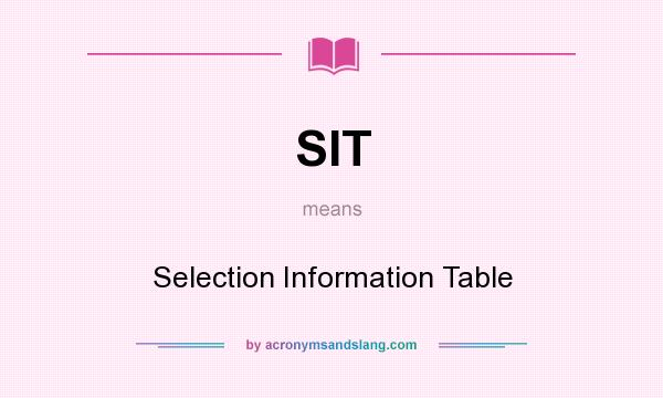 What does SIT mean? It stands for Selection Information Table