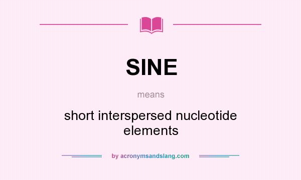 What does SINE mean? It stands for short interspersed nucleotide elements