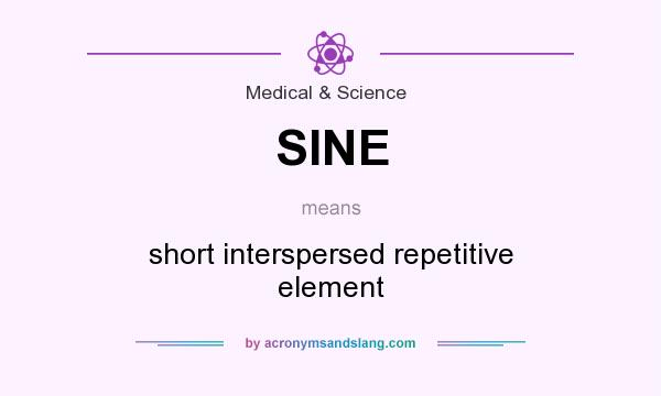 What does SINE mean? It stands for short interspersed repetitive element