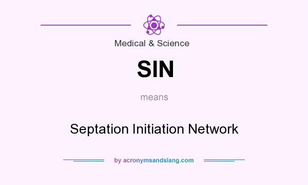 What does SIN mean? It stands for Septation Initiation Network