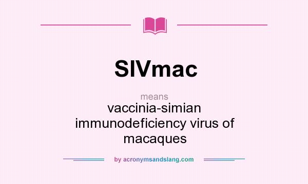 What does SIVmac mean? It stands for vaccinia-simian immunodeficiency virus of macaques