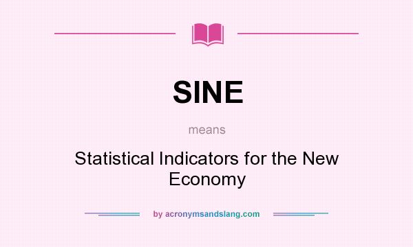 What does SINE mean? It stands for Statistical Indicators for the New Economy