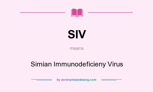 What does SIV mean? It stands for Simian Immunodeficieny Virus
