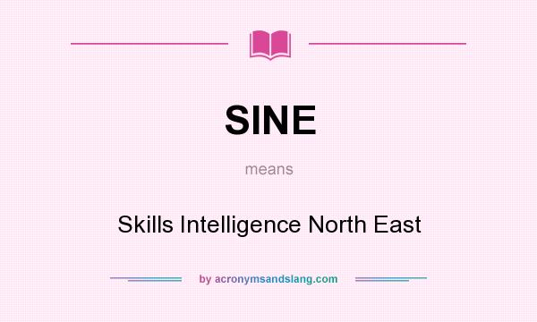What does SINE mean? It stands for Skills Intelligence North East