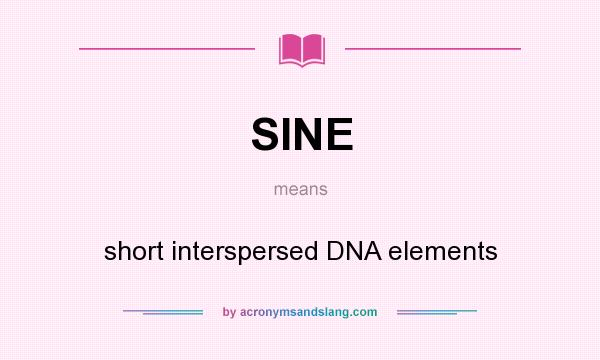 What does SINE mean? It stands for short interspersed DNA elements