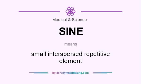 What does SINE mean? It stands for small interspersed repetitive element