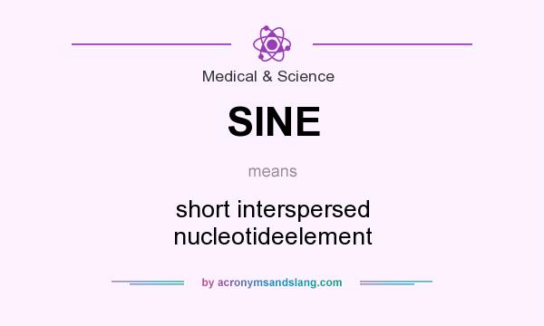 What does SINE mean? It stands for short interspersed nucleotideelement