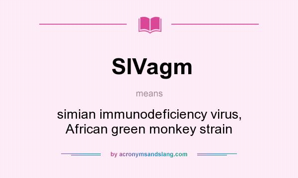 What does SIVagm mean? It stands for simian immunodeficiency virus, African green monkey strain