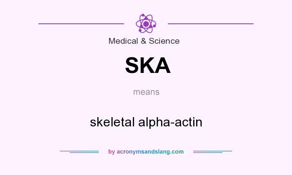 What does SKA mean? It stands for skeletal alpha-actin