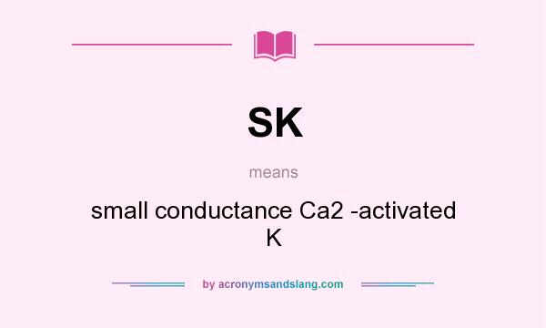 What does SK mean? It stands for small conductance Ca2 -activated K