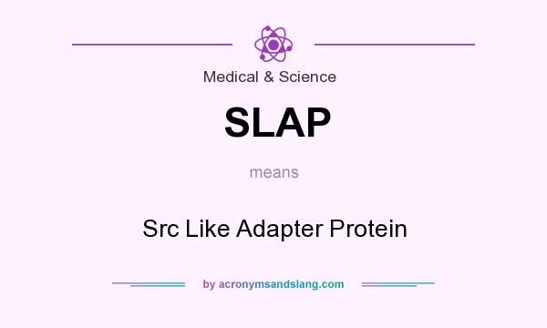 What does SLAP mean? It stands for Src Like Adapter Protein