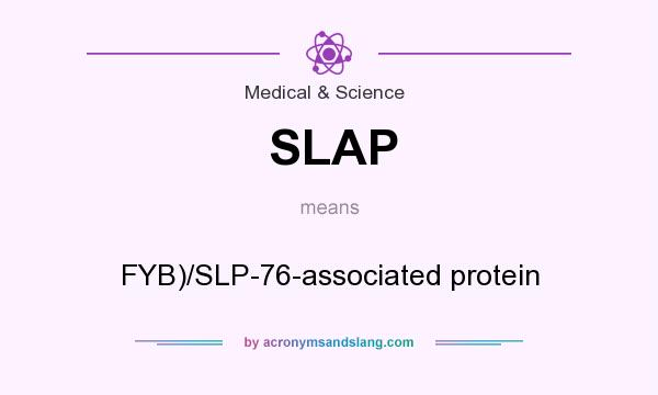 What does SLAP mean? It stands for FYB)/SLP-76-associated protein