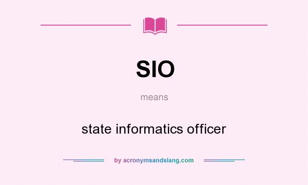 What does SIO mean? It stands for state informatics officer