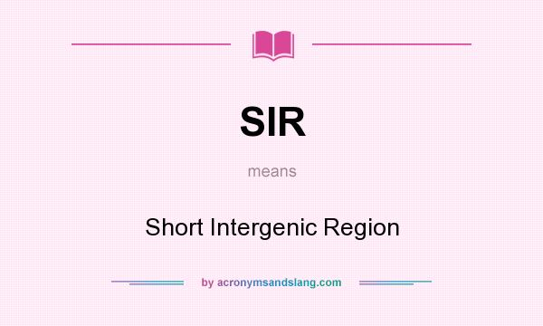 What does SIR mean? It stands for Short Intergenic Region