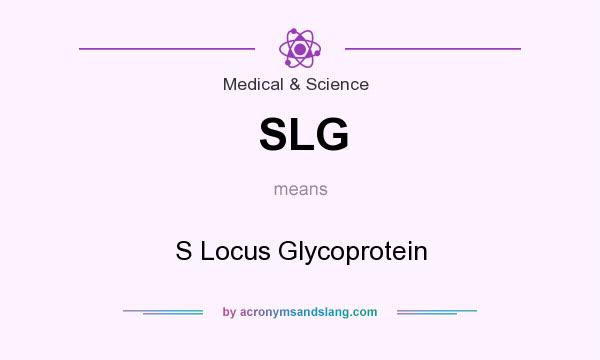 What does SLG mean? It stands for S Locus Glycoprotein