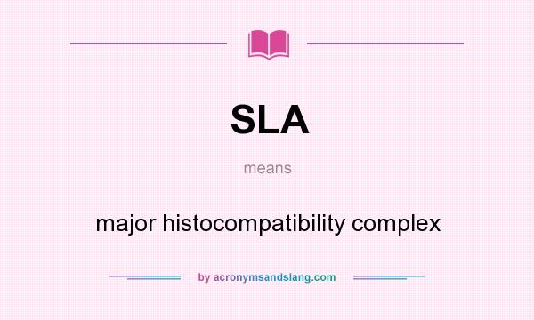 What does SLA mean? It stands for major histocompatibility complex