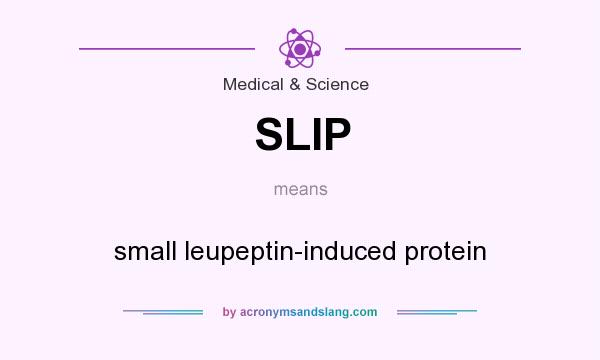 What does SLIP mean? It stands for small leupeptin-induced protein