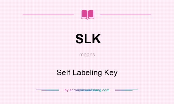 What does SLK mean? It stands for Self Labeling Key