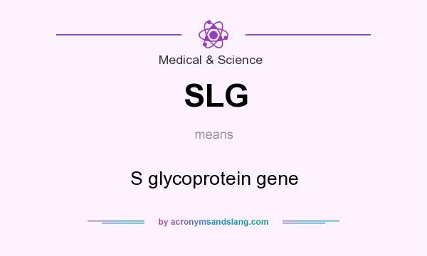 What does SLG mean? It stands for S glycoprotein gene
