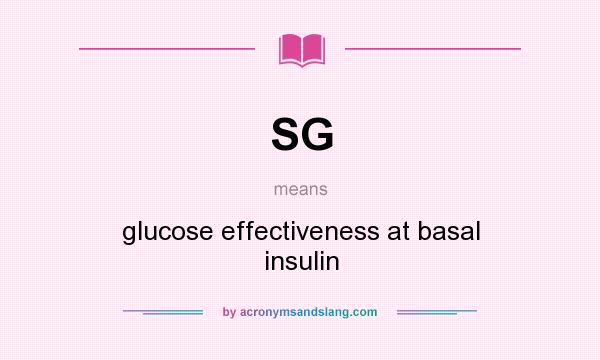 What does SG mean? It stands for glucose effectiveness at basal insulin