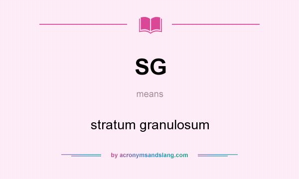What does SG mean? It stands for stratum granulosum