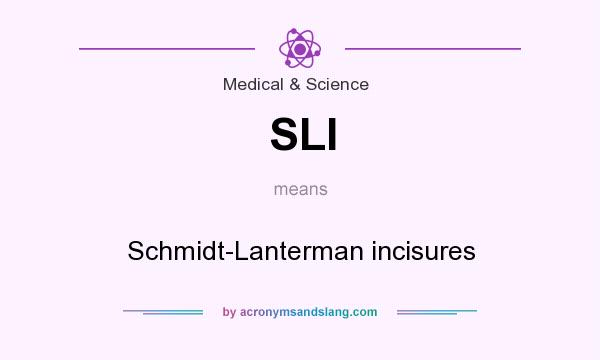 What does SLI mean? It stands for Schmidt-Lanterman incisures