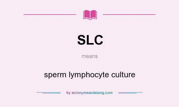 What does SLC mean? It stands for sperm lymphocyte culture