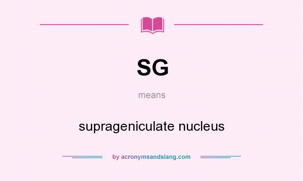 What does SG mean? It stands for suprageniculate nucleus