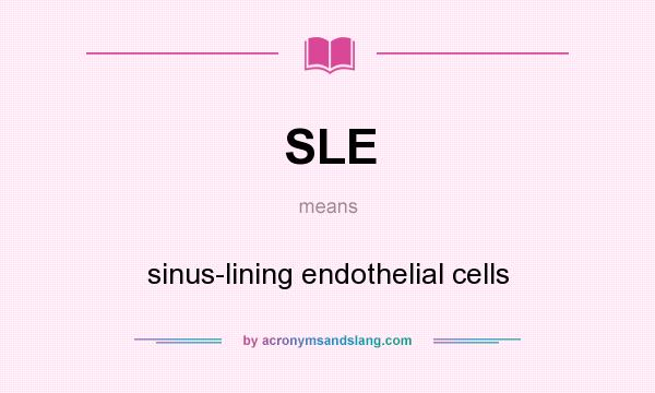 What does SLE mean? It stands for sinus-lining endothelial cells