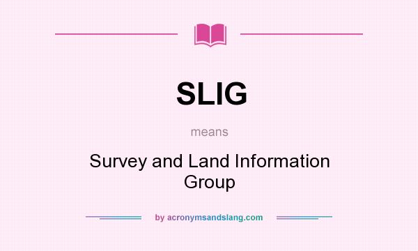 What does SLIG mean? It stands for Survey and Land Information Group