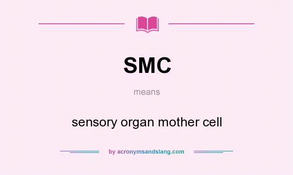 What does SMC mean? It stands for sensory organ mother cell