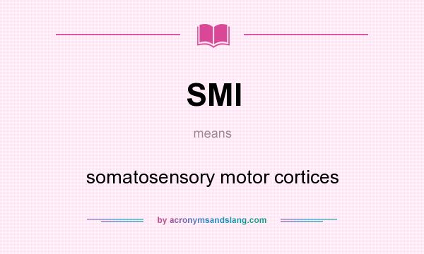 What does SMI mean? It stands for somatosensory motor cortices