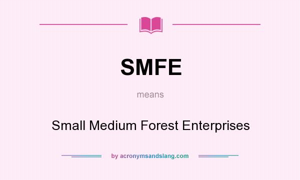 What does SMFE mean? It stands for Small Medium Forest Enterprises