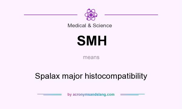 What does SMH mean? It stands for Spalax major histocompatibility