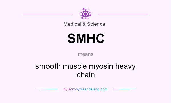 What does SMHC mean? It stands for smooth muscle myosin heavy chain