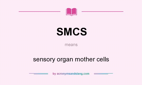 What does SMCS mean? It stands for sensory organ mother cells