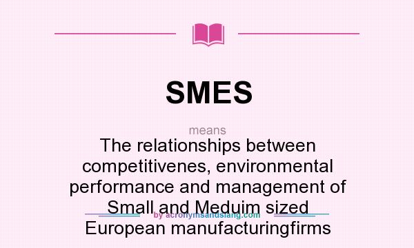 What does SMES mean? It stands for The relationships between competitivenes, environmental performance and management of Small and Meduim sized European manufacturingfirms
