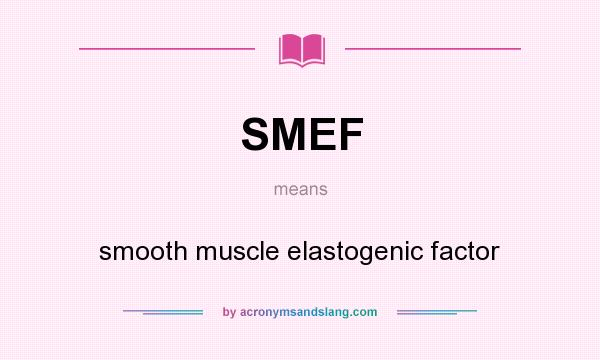 What does SMEF mean? It stands for smooth muscle elastogenic factor