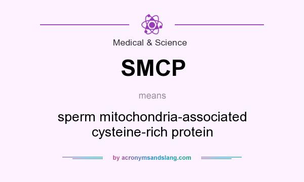 What does SMCP mean? It stands for sperm mitochondria-associated cysteine-rich protein