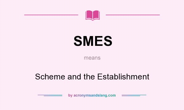 What does SMES mean? It stands for Scheme and the Establishment