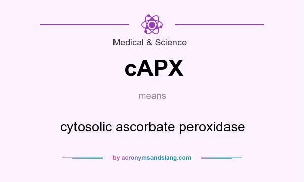 What does cAPX mean? It stands for cytosolic ascorbate peroxidase