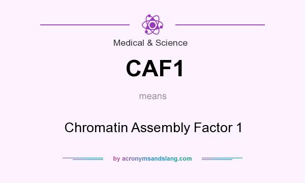 What does CAF1 mean? It stands for Chromatin Assembly Factor 1