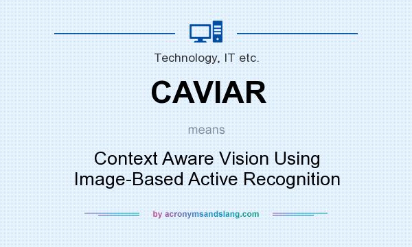 What does CAVIAR mean? It stands for Context Aware Vision Using Image-Based Active Recognition