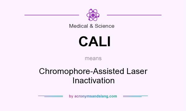 What does CALI mean? It stands for Chromophore-Assisted Laser Inactivation