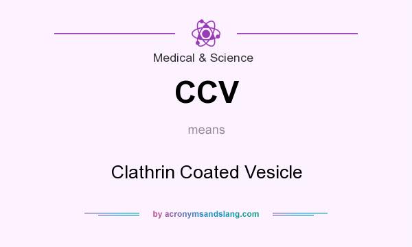 What does CCV mean? It stands for Clathrin Coated Vesicle